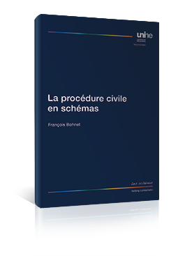 procédure civile en schémas